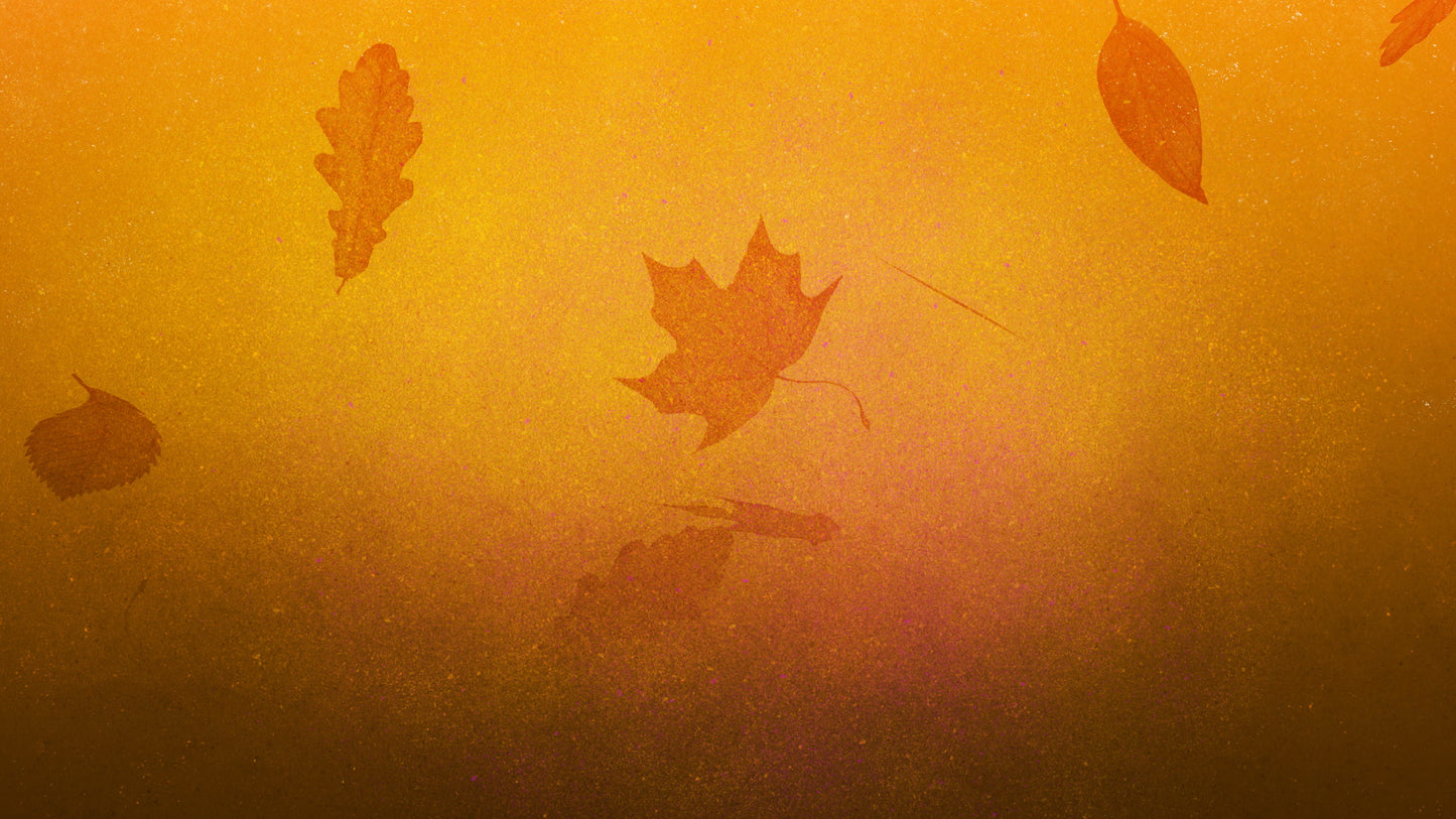 Painted Autumn 02 Still