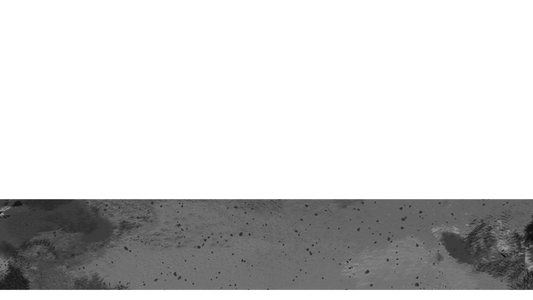 Lent Textures Lower Third 5