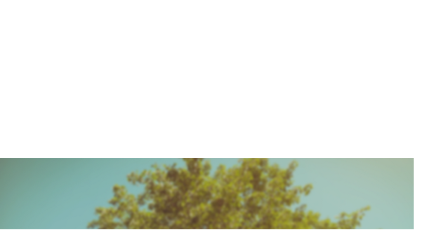 Summer Bright Lower Third 3