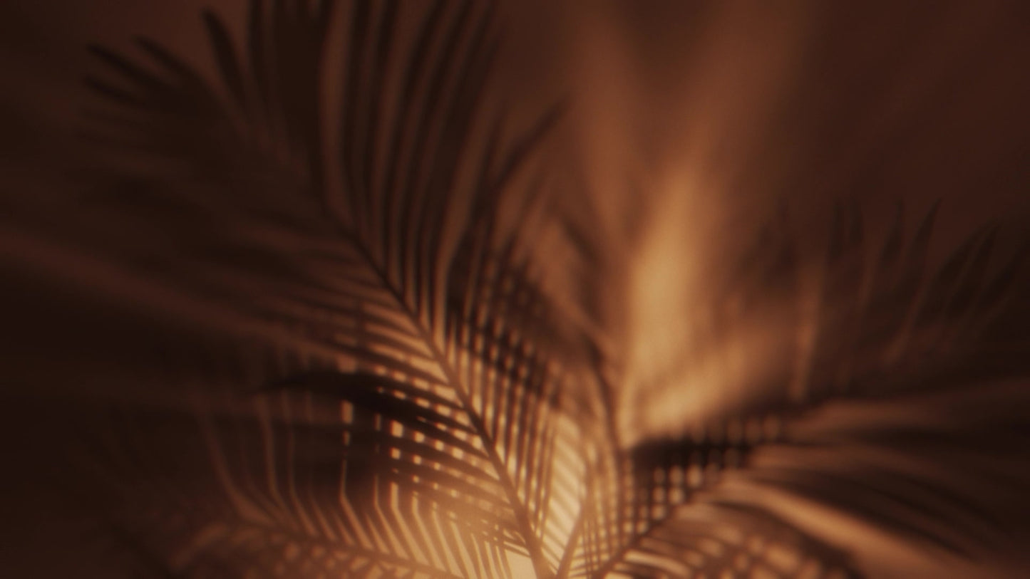 Holy Week 04 Copper Palm