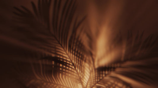 Holy Week 04 Copper Palm