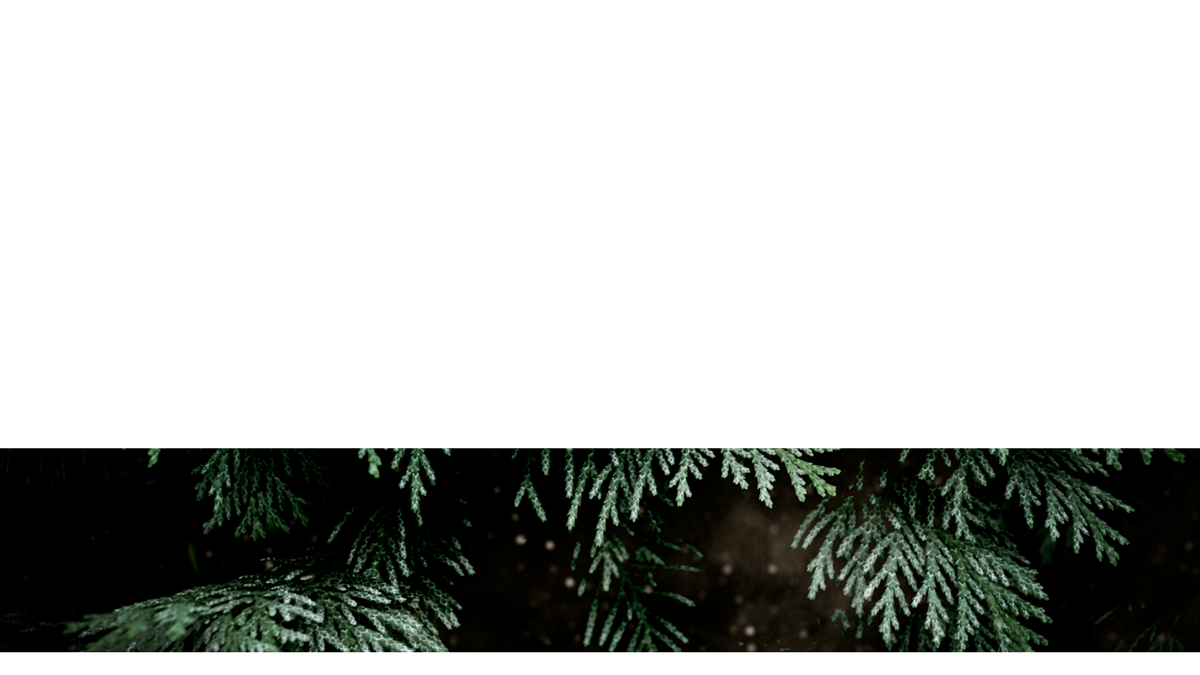 Evergreen Lower Third 6