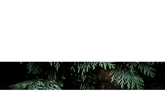 Evergreen Lower Third 6