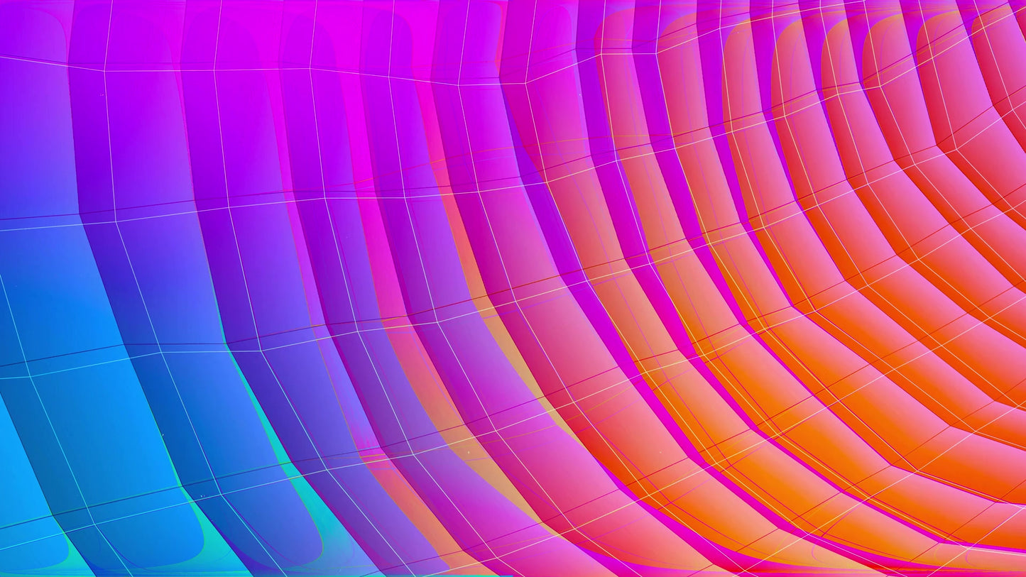 Color Planes Scallop