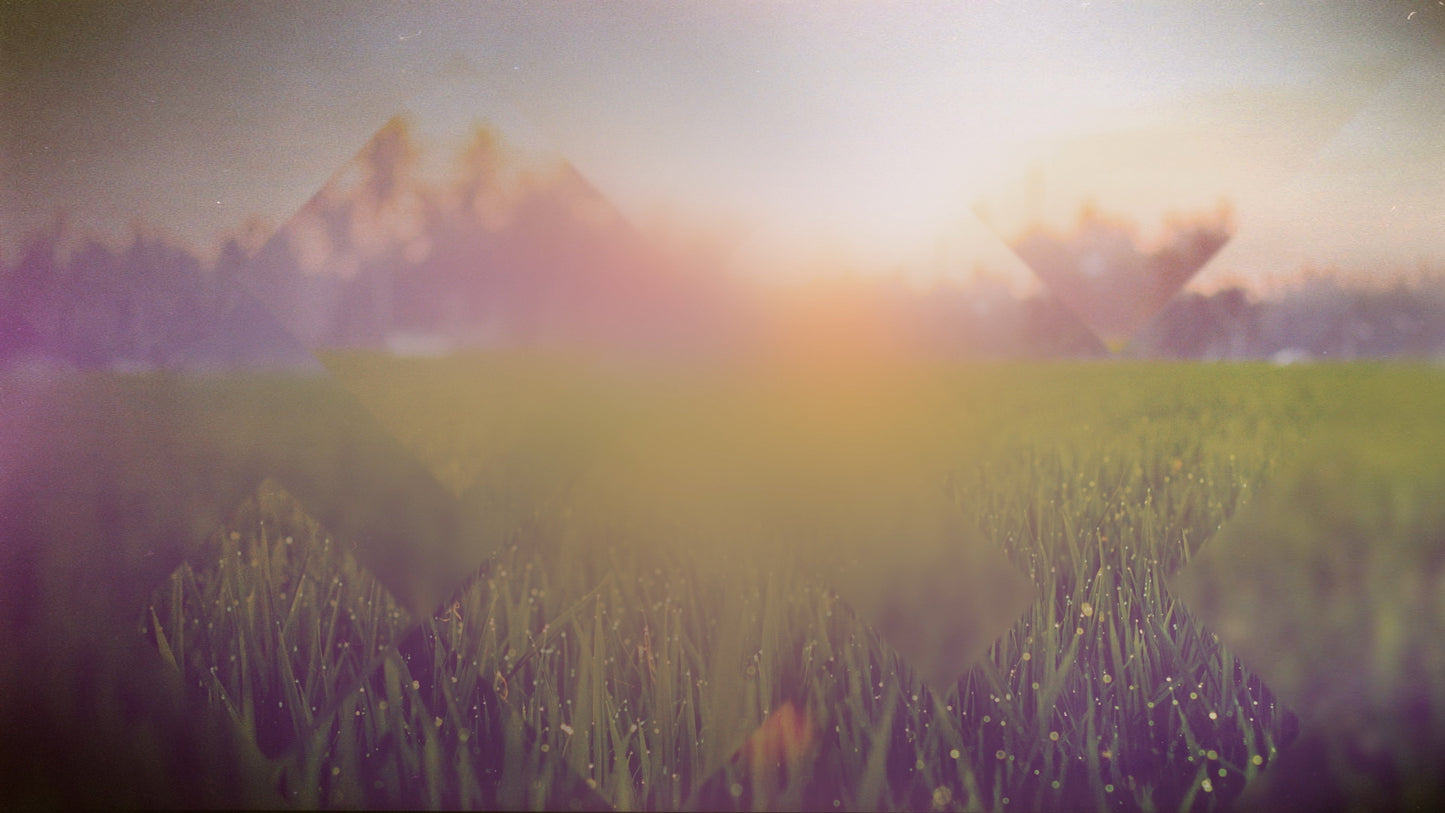 Spring Journey 11 Still