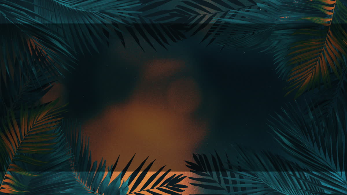 Vibrant Palms 2 Alt