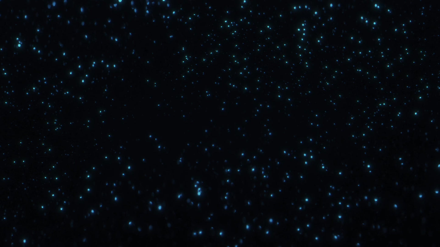Glitter Echoes 5
