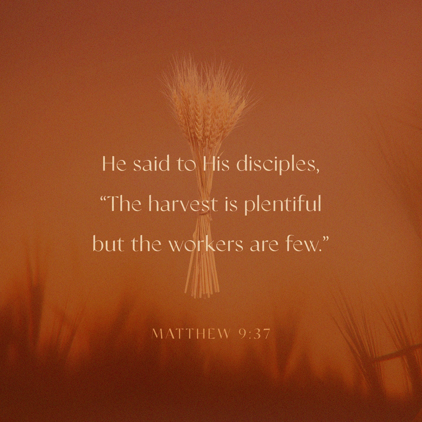 Matthew 9:37