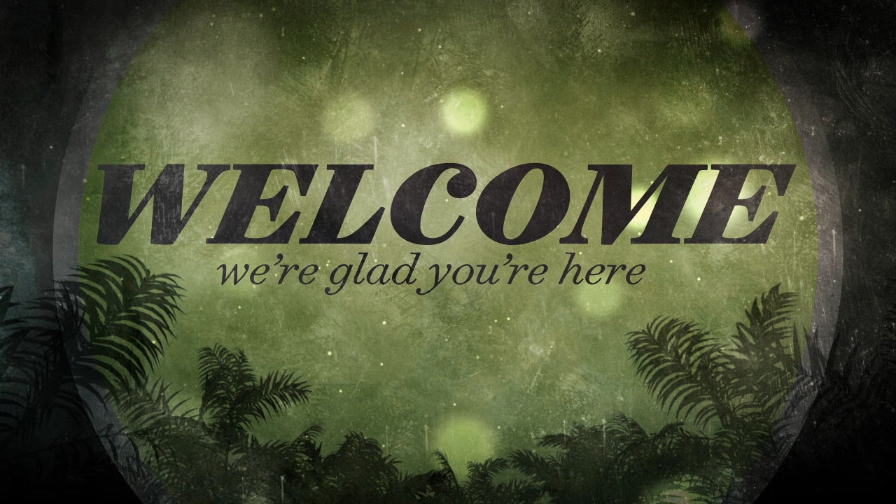 Palm Bokeh Welcome Still