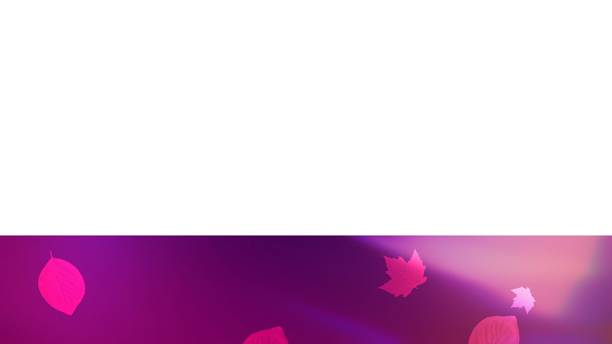 Light Leaves Lower Third Blank 03 Transparency