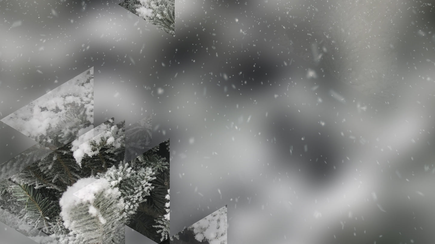 Winter Journey 14 Still