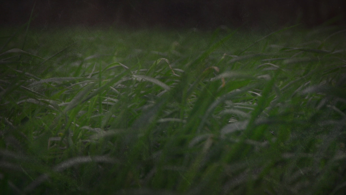 Green Pasture