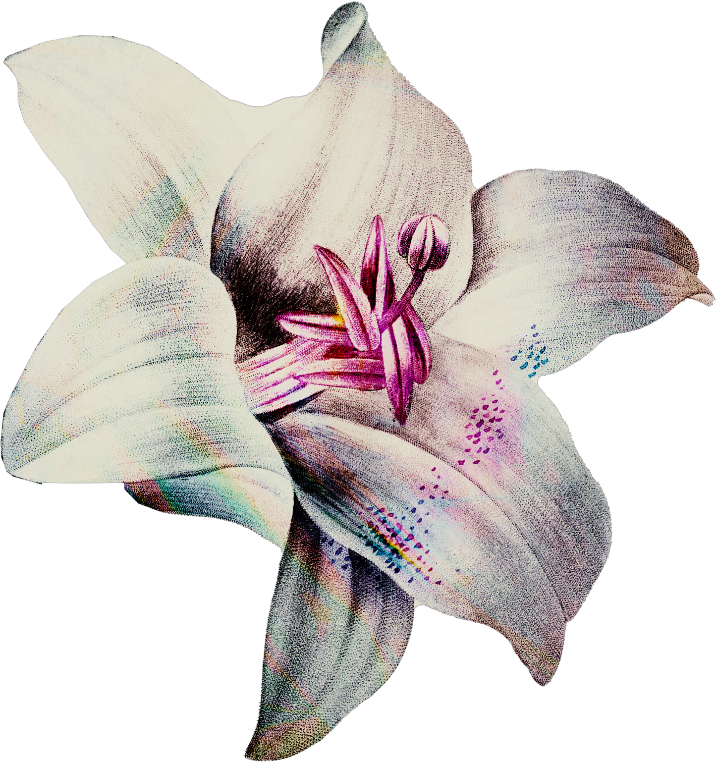 Mothers Day Glam Flower4