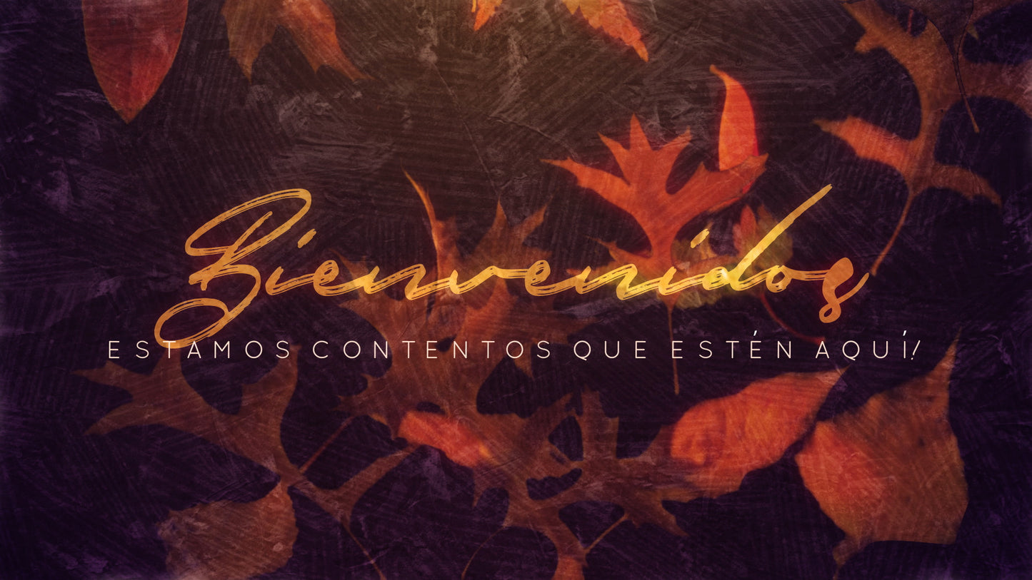 Fall Into Grace Welcome Still Spanish