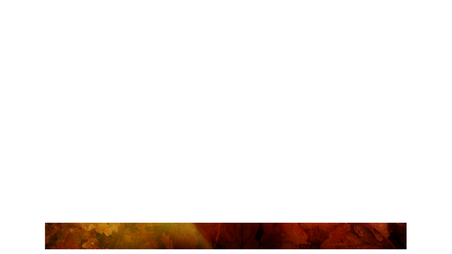 Subtle Fall Lower Third Blank 01