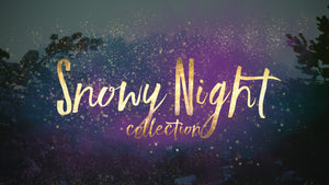 Snowy Night