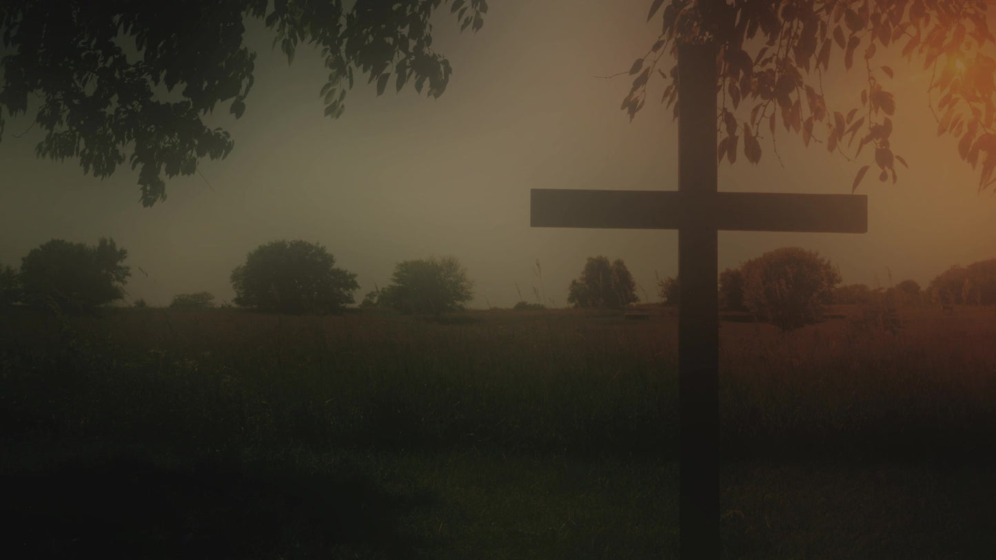 Nature Cross 3 Alt
