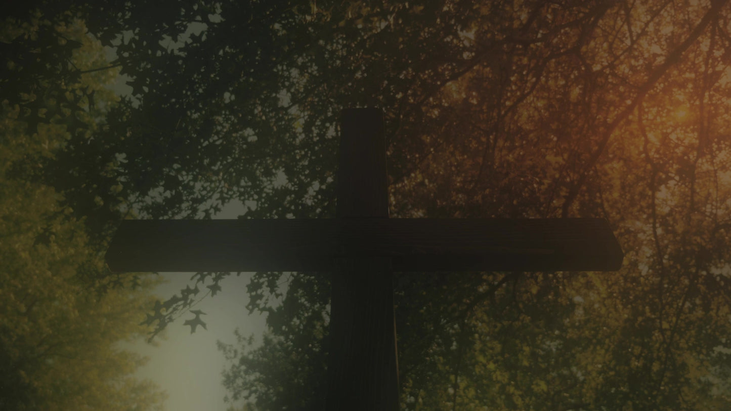 Nature Cross 8 Alt