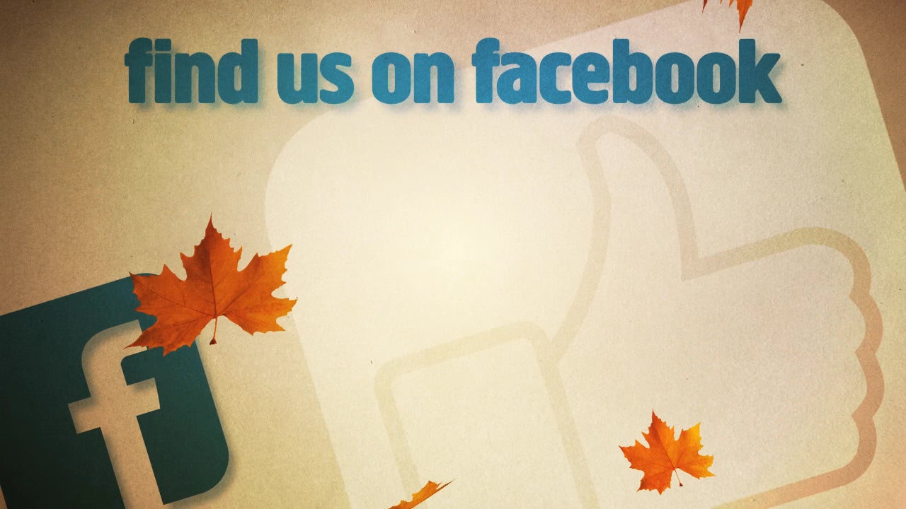 Facebook Fall Still