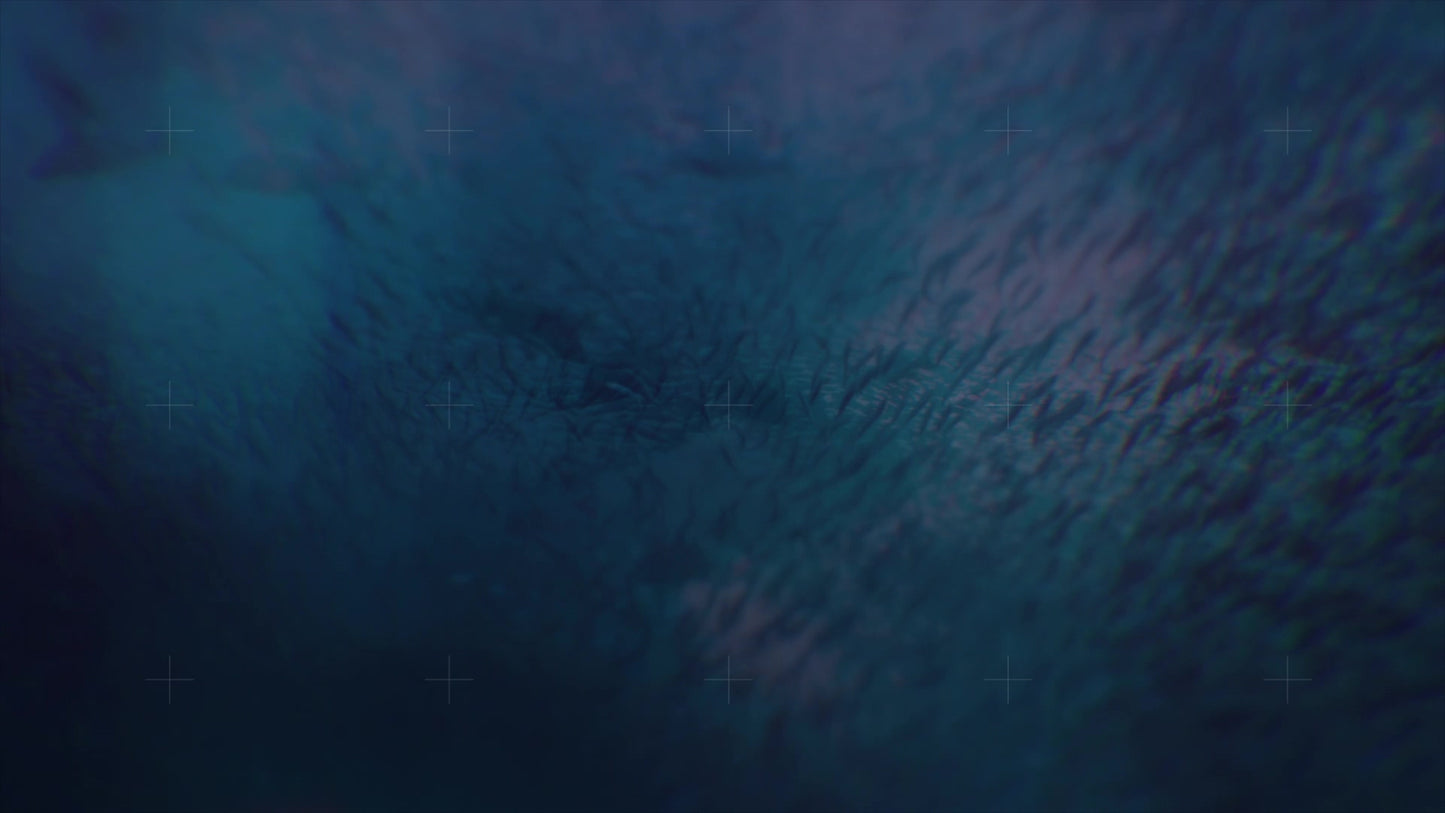 The Depths Frenetic