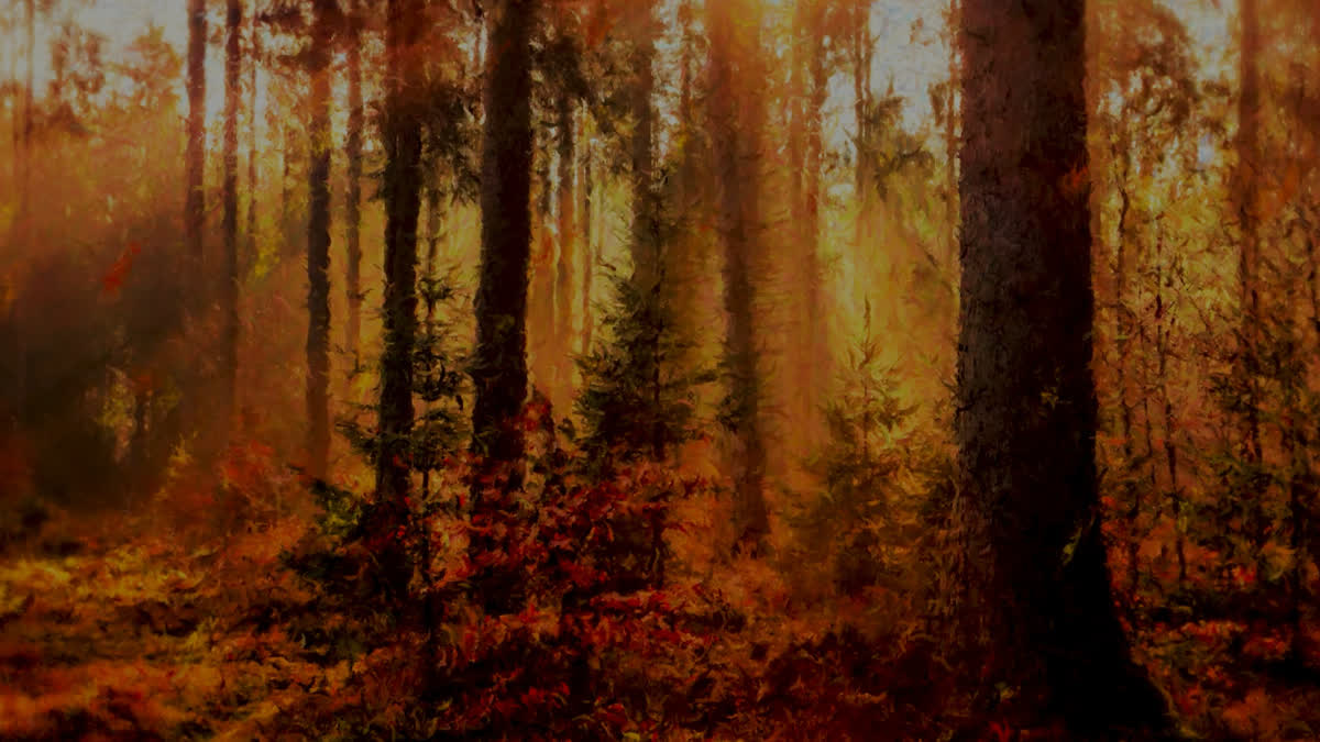 Autumn Vibes 8 Alt