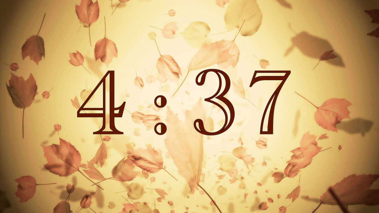 Leaves Falling Countdown
