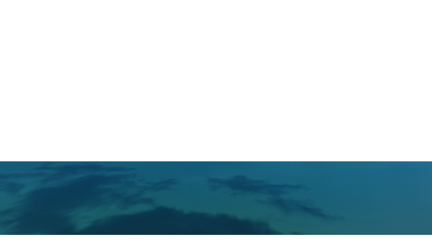 Peaceful Flight Lower Third 6