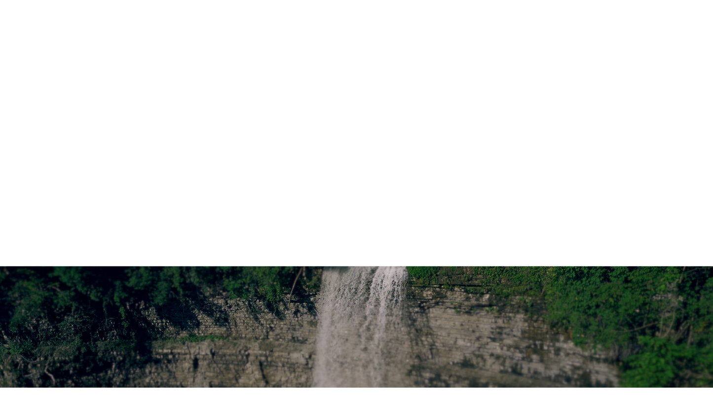 Natures Force Lower Third 13