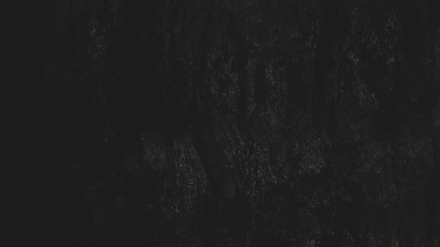 Dark Surface Six