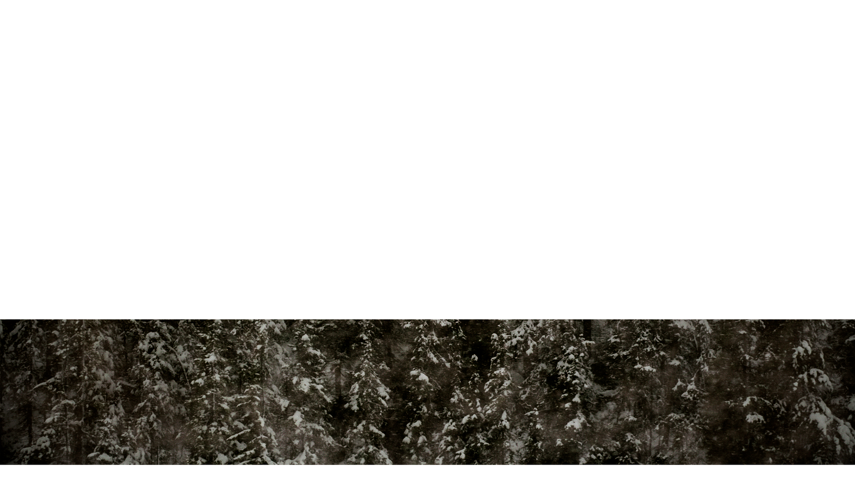 Evergreen Lower Third 4