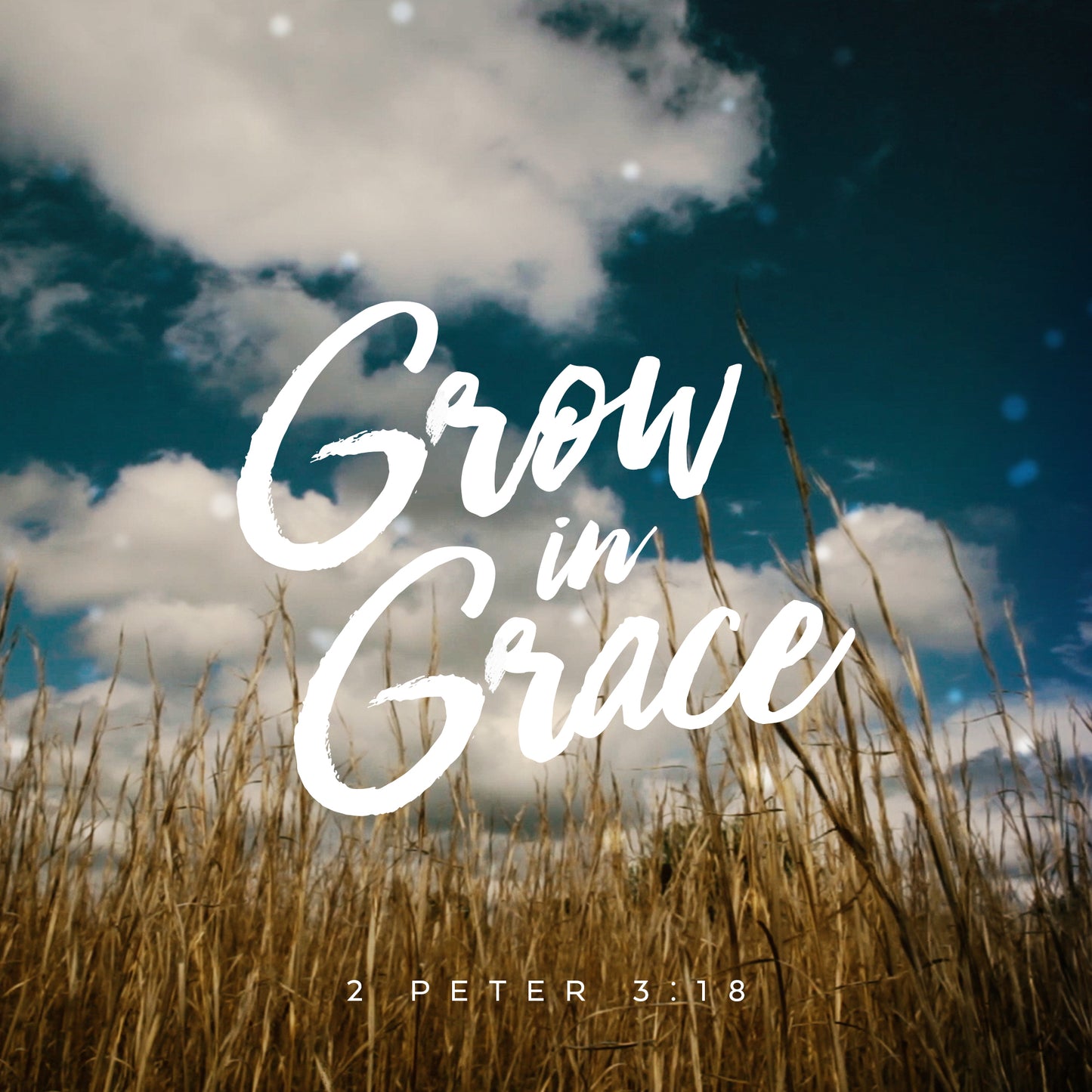 Sun Shade Grow In Grace