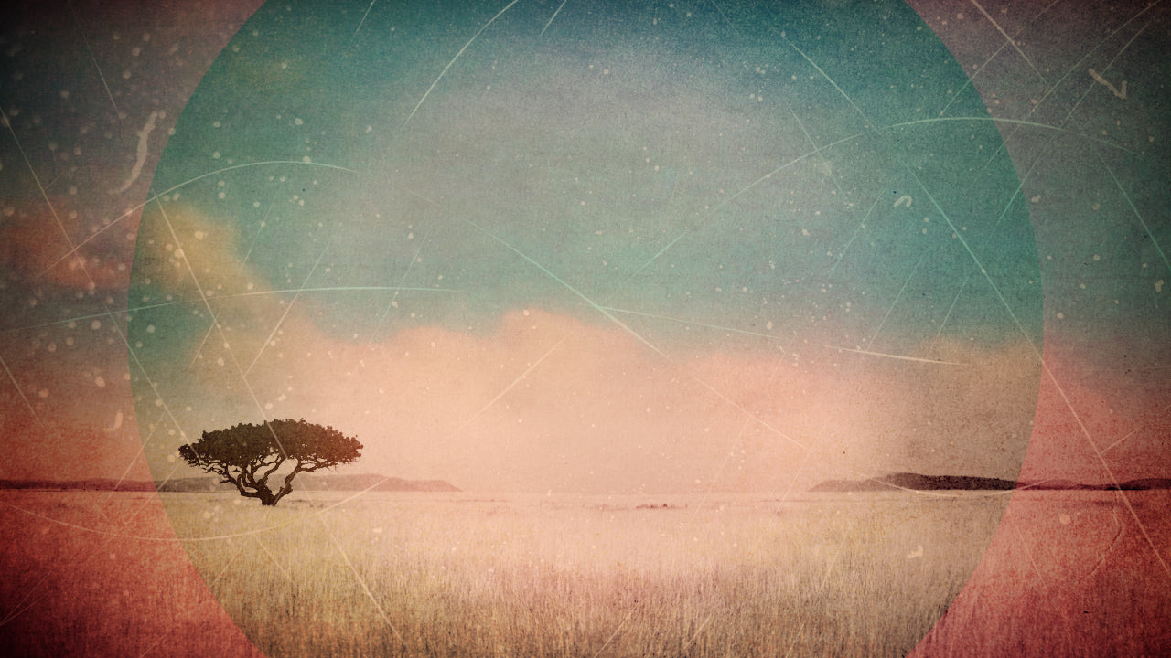 Creation Landscape 01 Still
