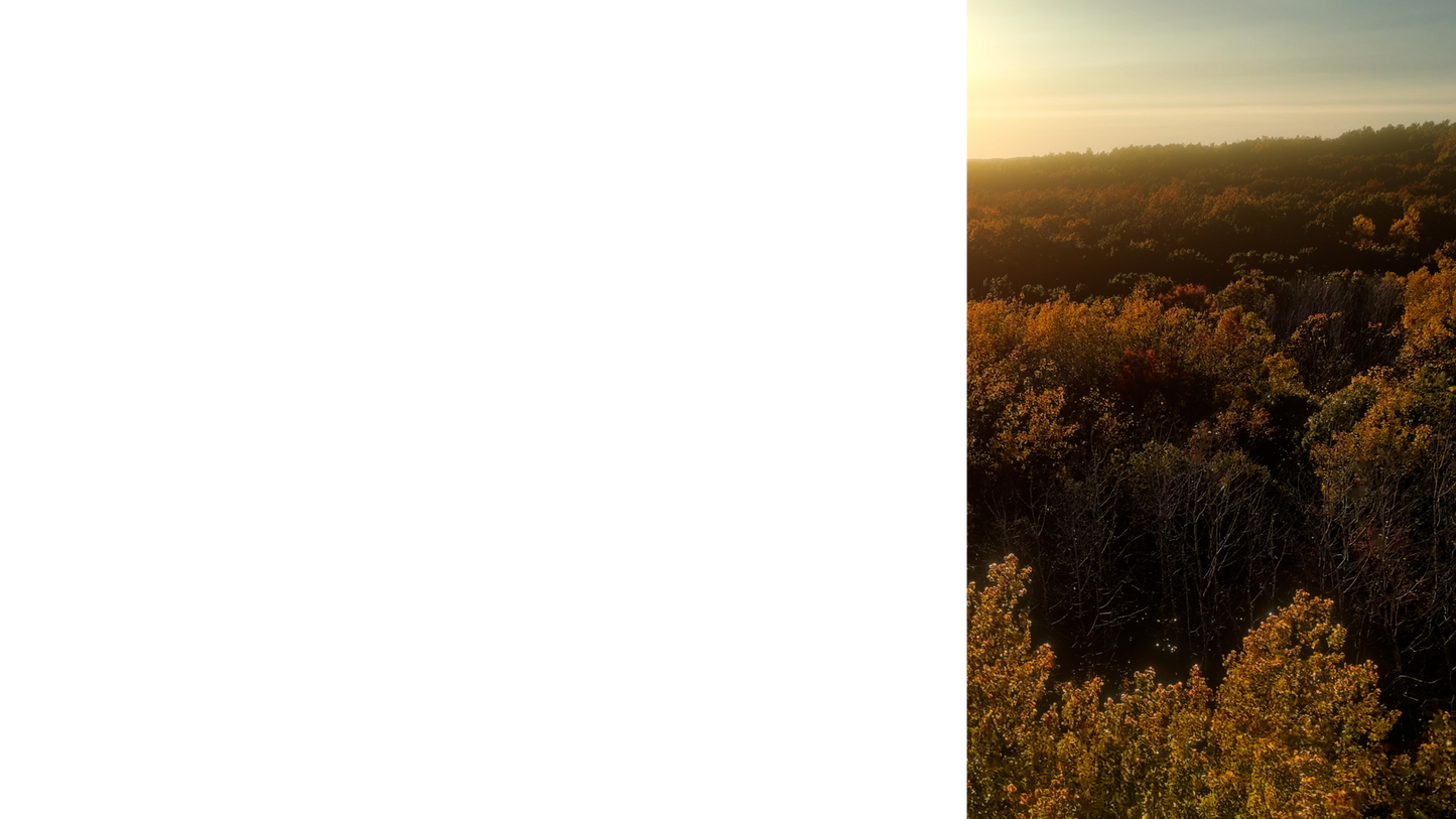 Fall Foliage Lower Third Right Blank