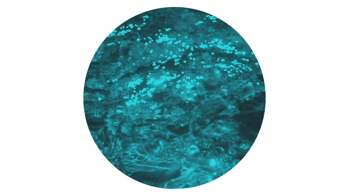Neon Streams 20 Still