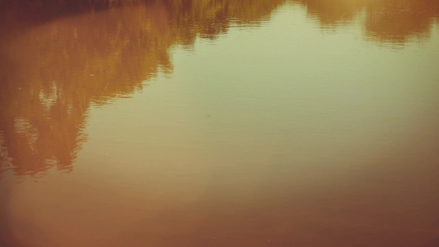 Summer Bright Pond