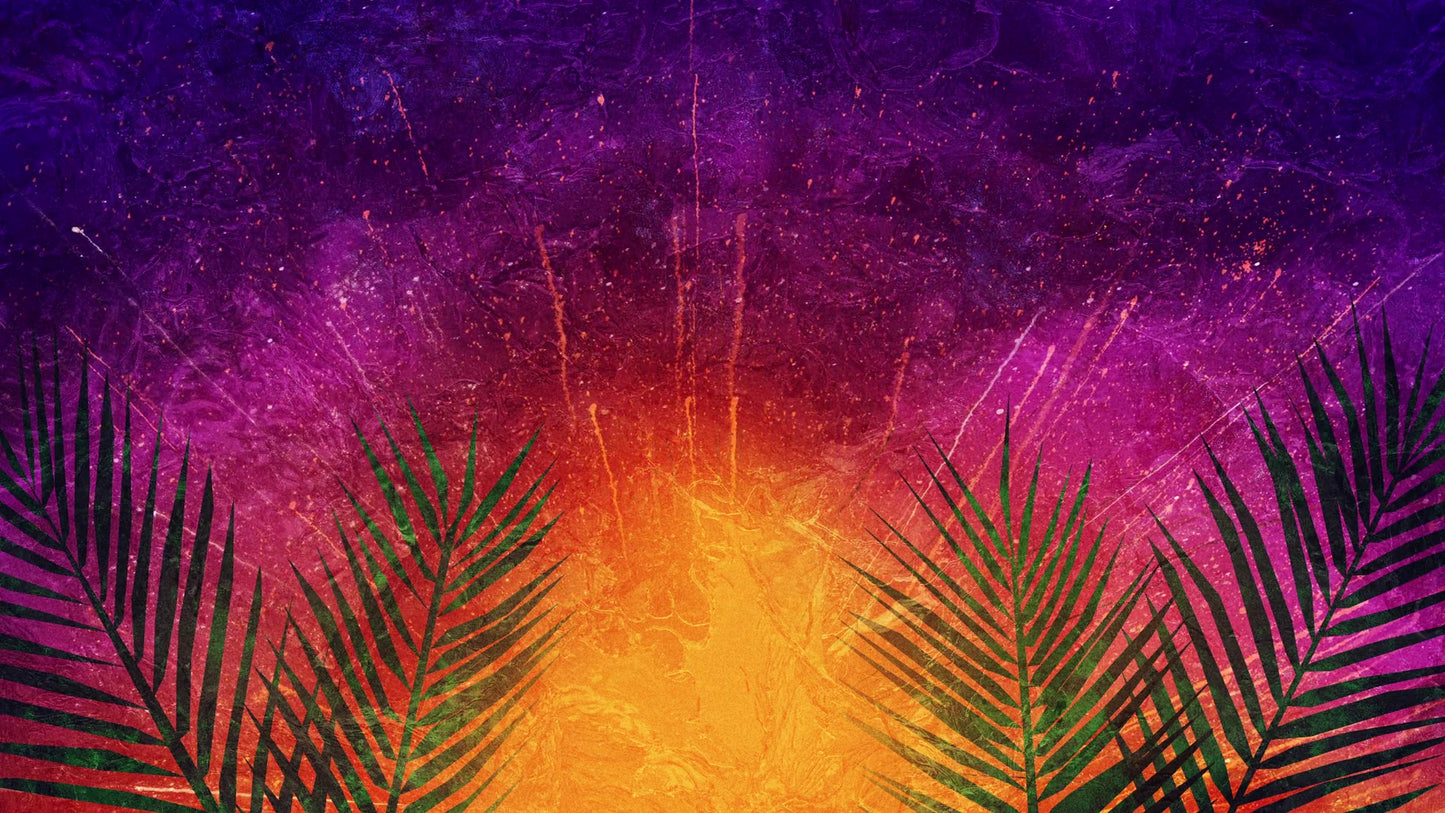 Vivid Palm Sunday 04
