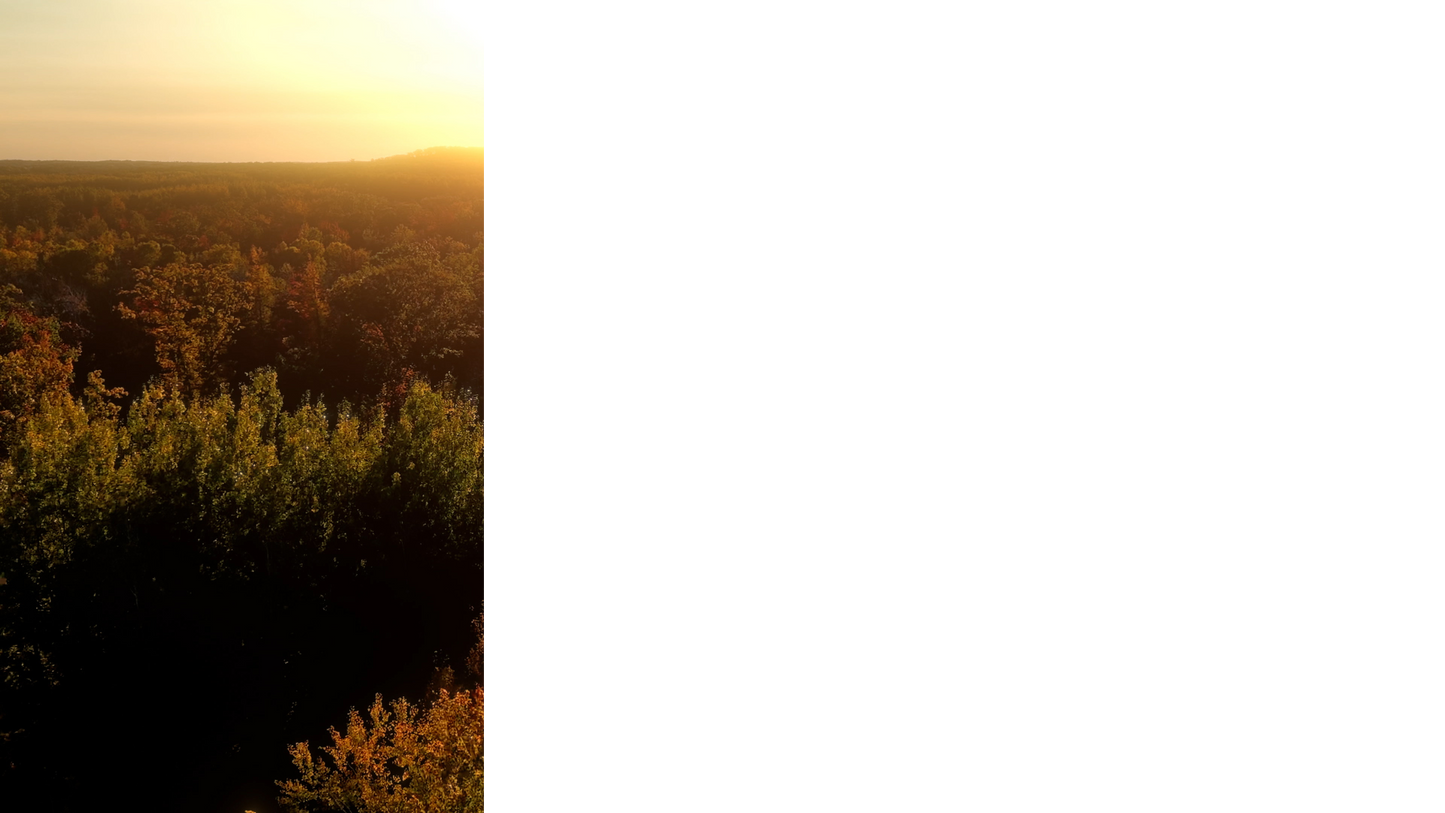 Fall Foliage Lower Third Left Blank