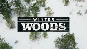 Winter Woods
