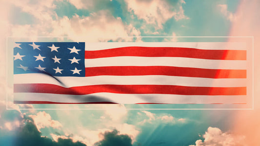 Veterans Day 03