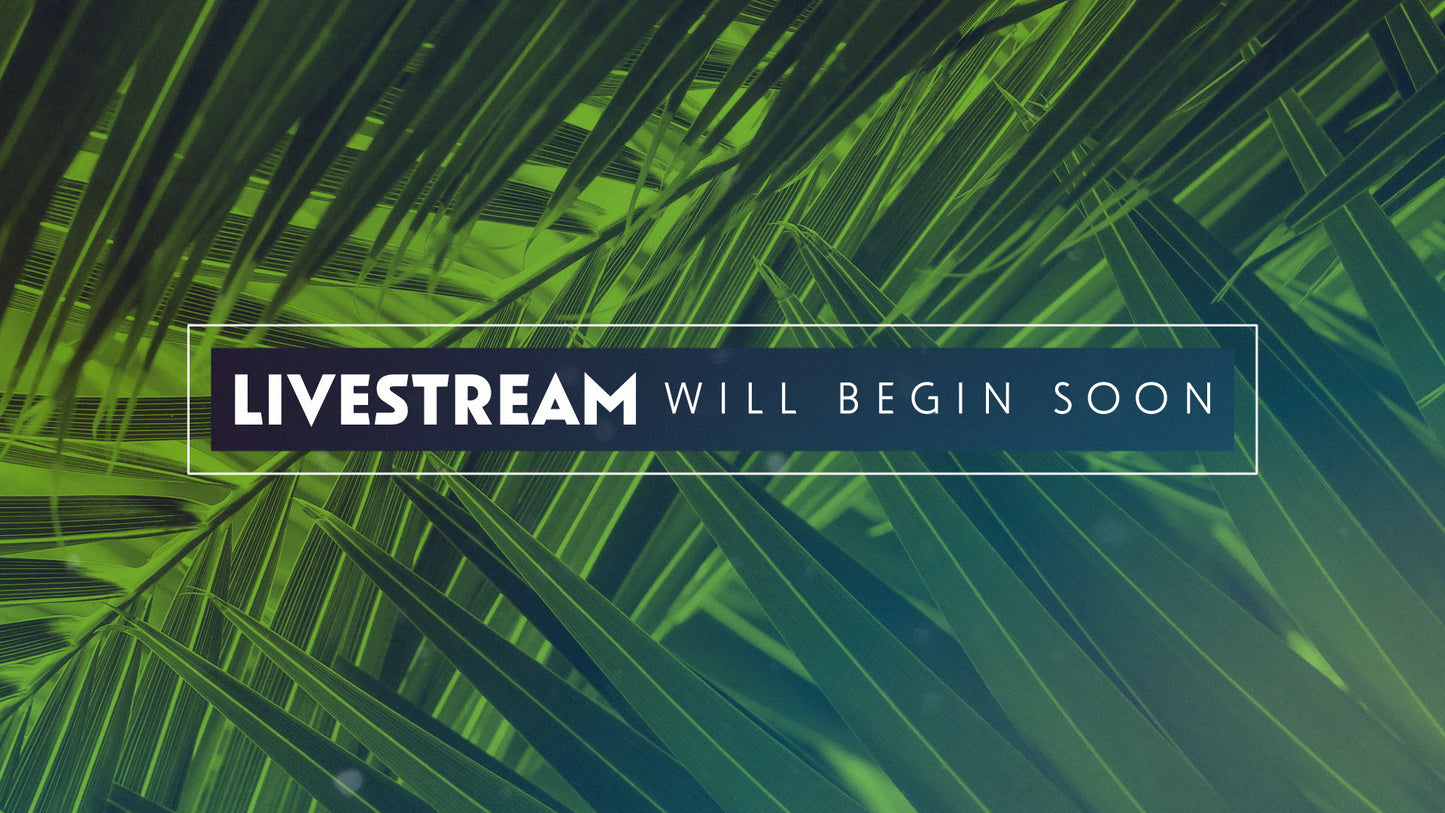 Palm Sunday Streaming Begin Soon Still