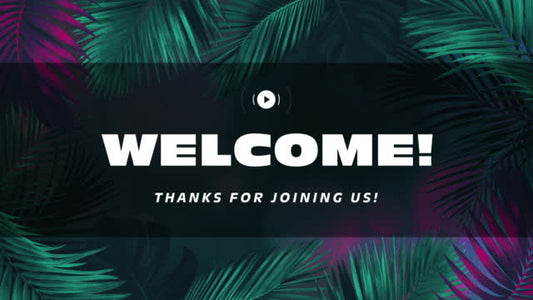 Vibrant Palms Welcome Stream