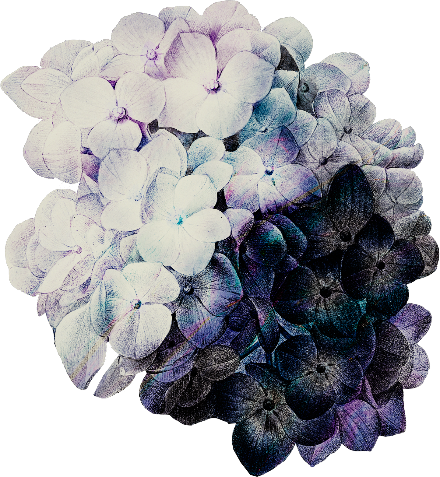 Mothers Day Glam Flower2