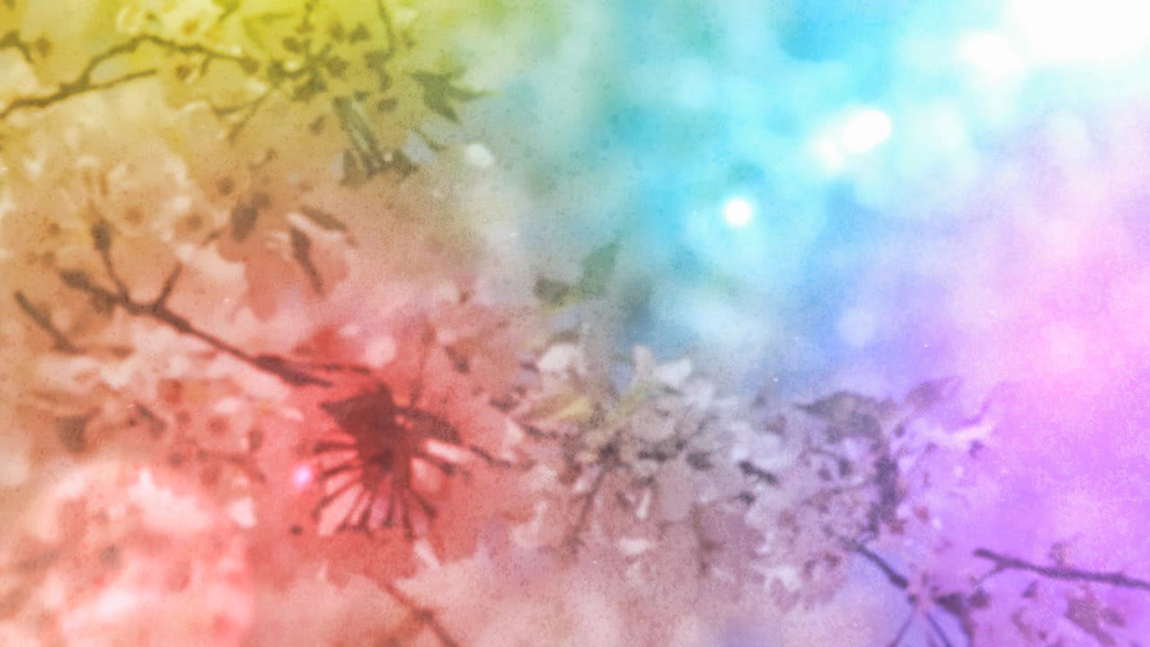 Mother's Day Blossoms 03 Still