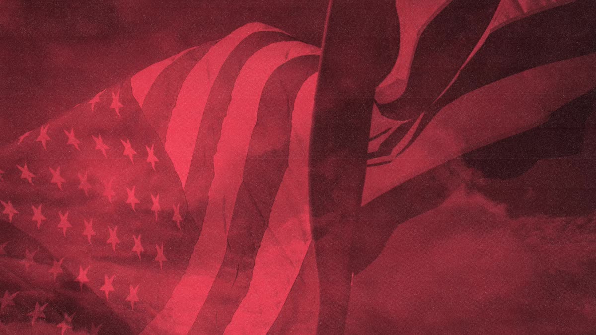 Veterans Day Flag 02