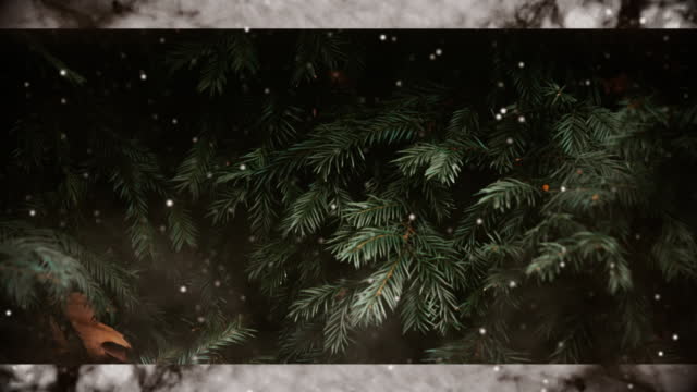 Evergreen 8 Alt
