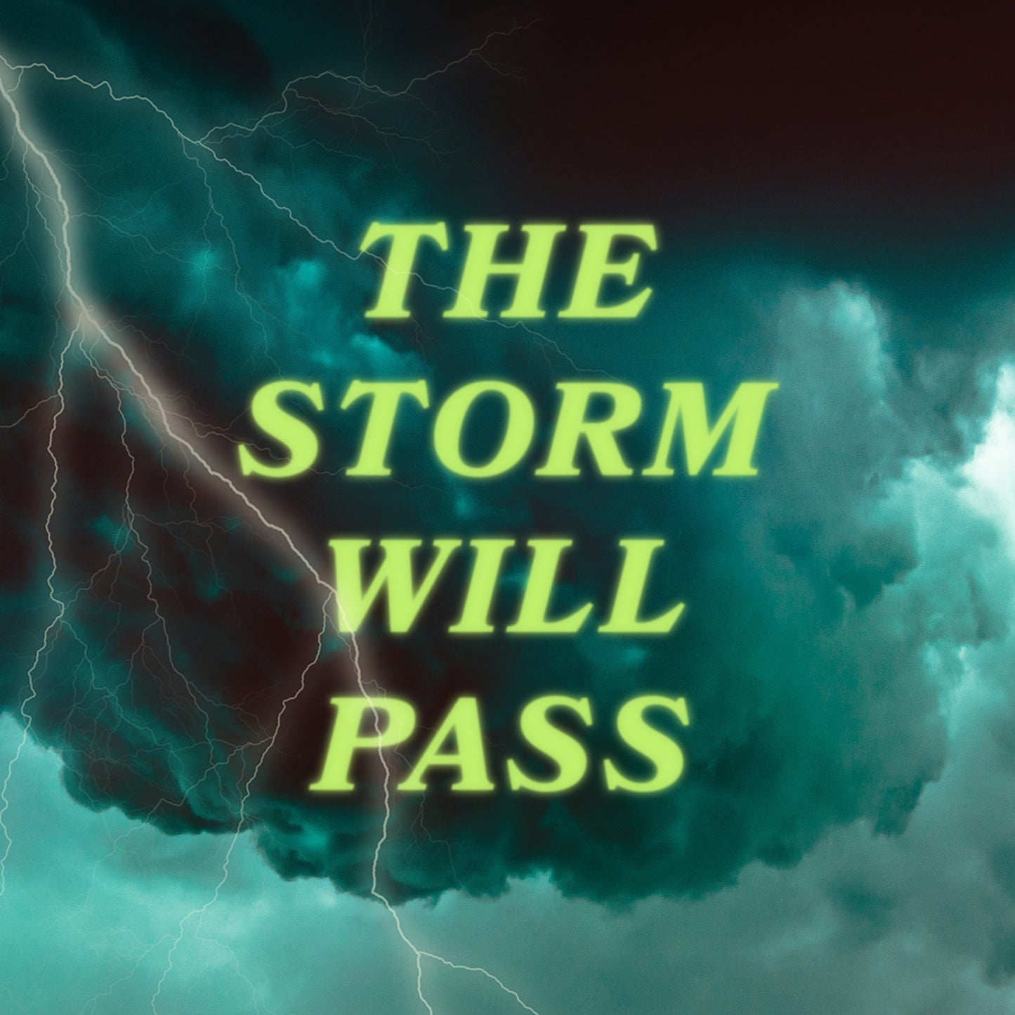 The Storm Will Pass