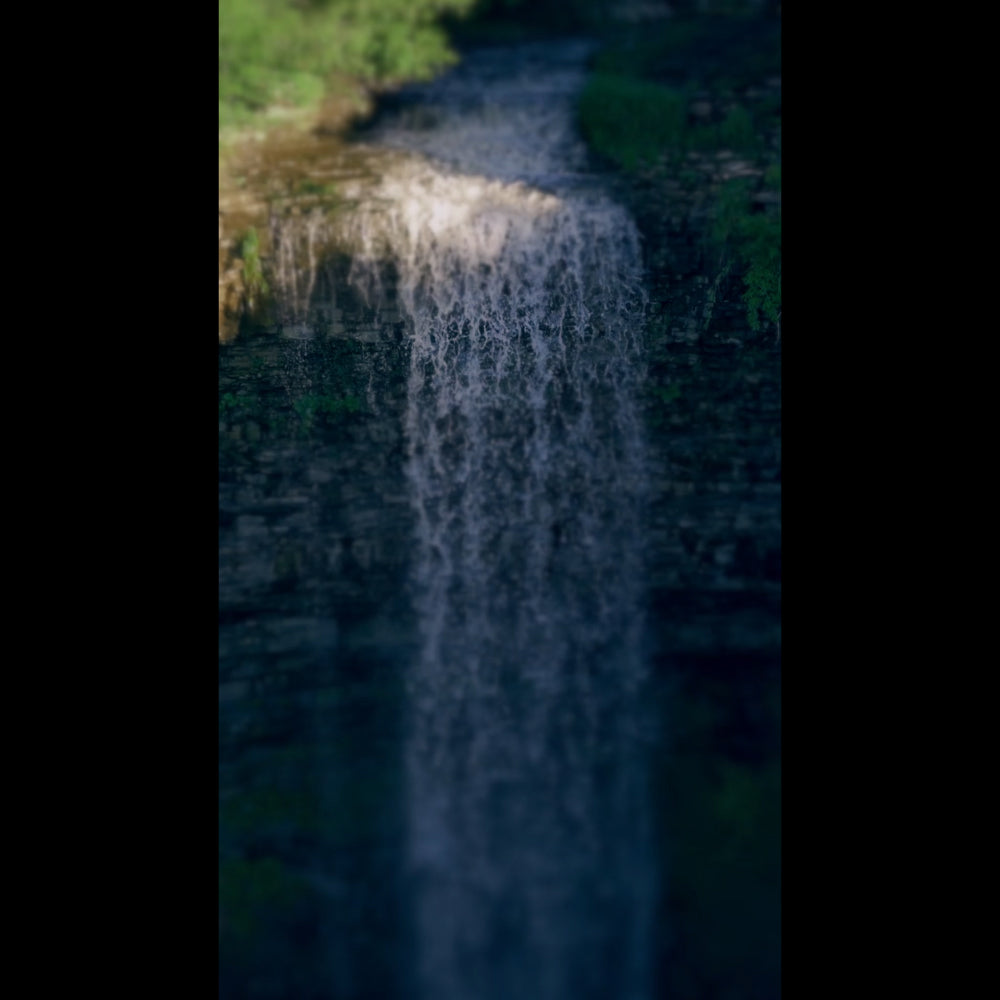 Nature's Force Sunday Blank Reel