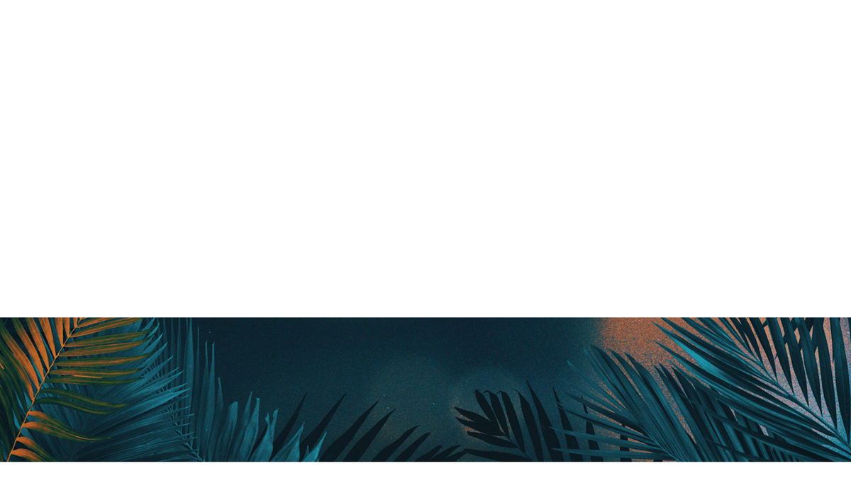 Vibrant Palms Lower Third 2
