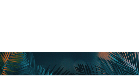 Vibrant Palms Lower Third 2