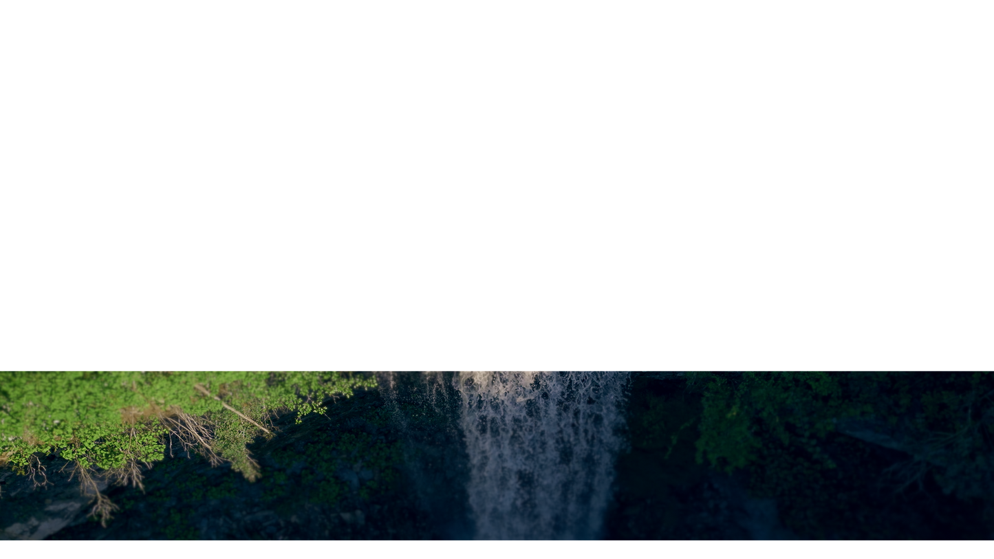 Natures Force Lower Third 2